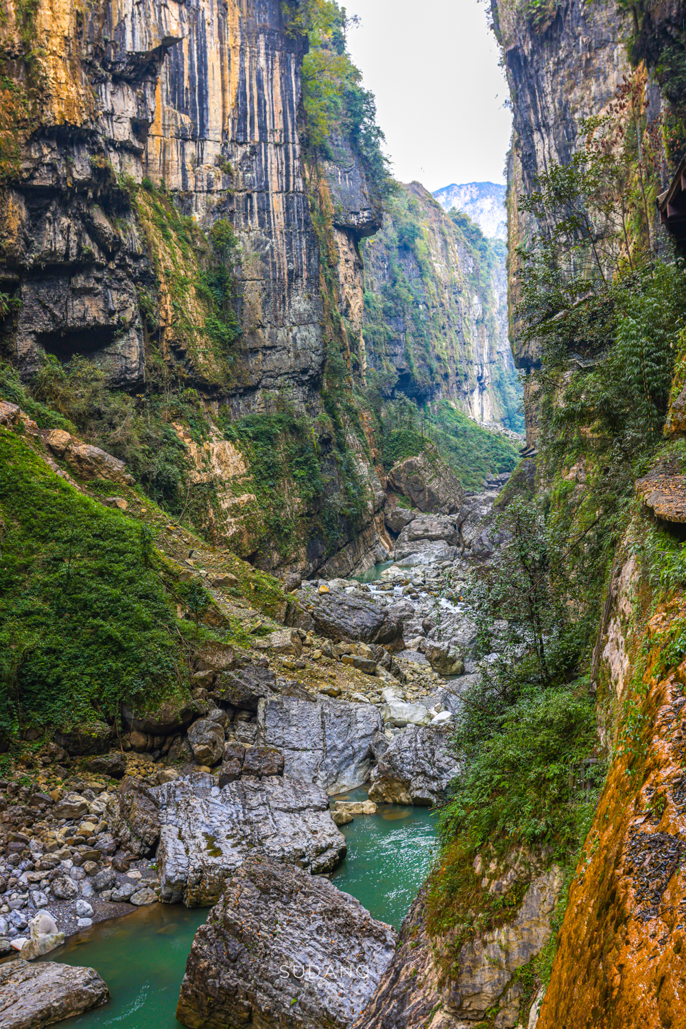 ʵ�����޵�һ�󶴣�������1000���ˣ�һ��20��Ľ������ܷ�ֱ����