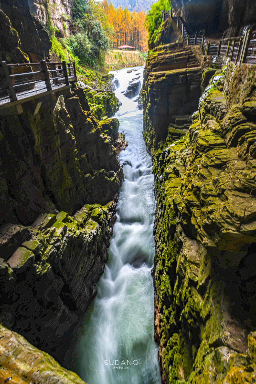 ʵ�����޵�һ�󶴣�������1000���ˣ�һ��20��Ľ������ܷ�ֱ����