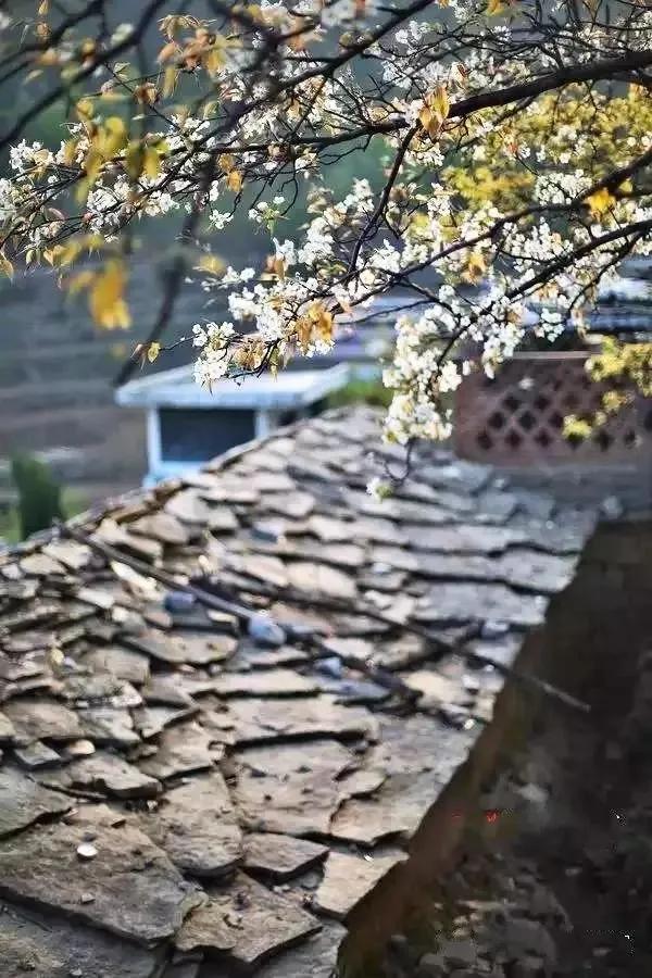 ��ͷ�µ�̫��ɽ