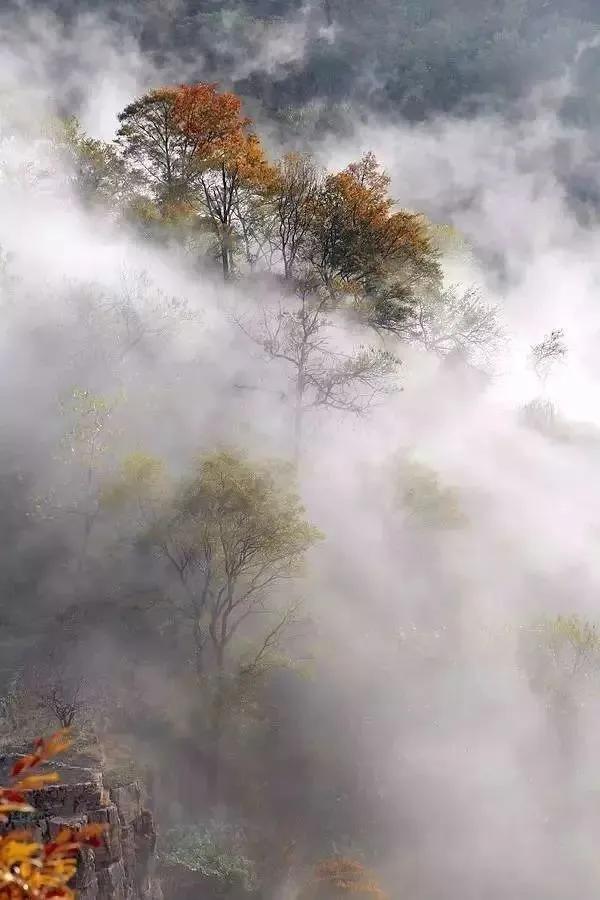 ��ͷ�µ�̫��ɽ