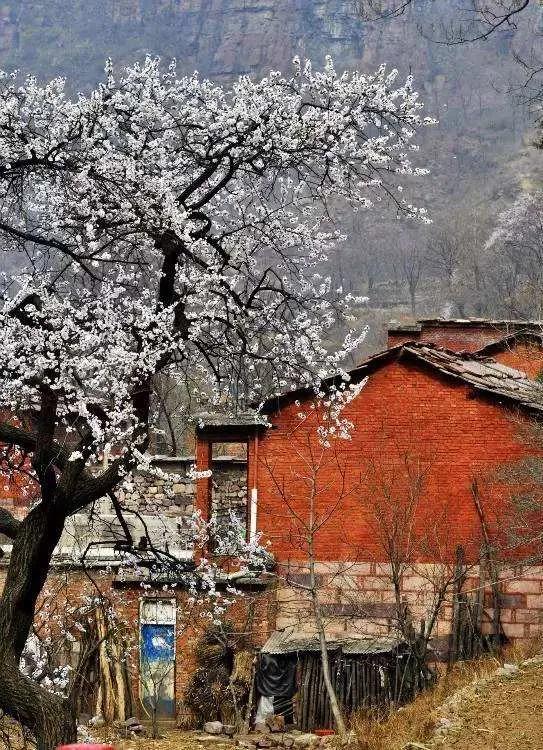 ��ͷ�µ�̫��ɽ