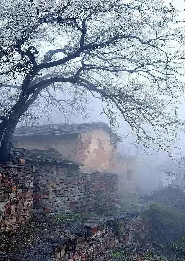 ��ͷ�µ�̫��ɽ