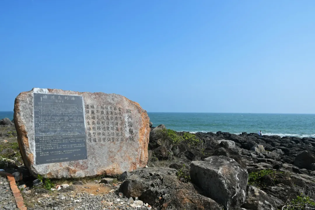 ��ģ�������ȥһ��տ��