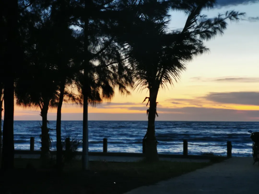 ��ģ�������ȥһ��տ��