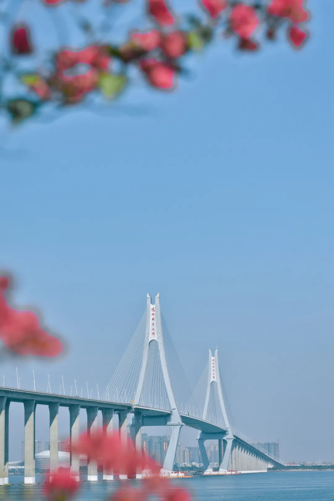 ��ģ�������ȥһ��տ��