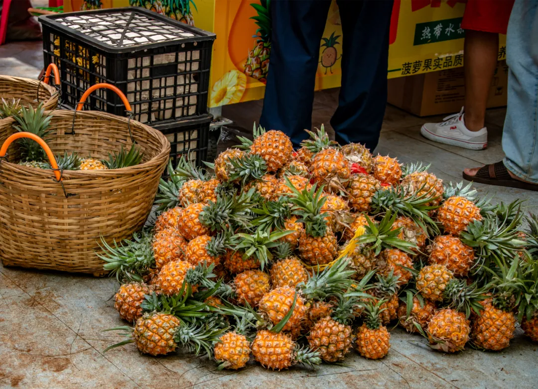 ��ģ�������ȥһ��տ��