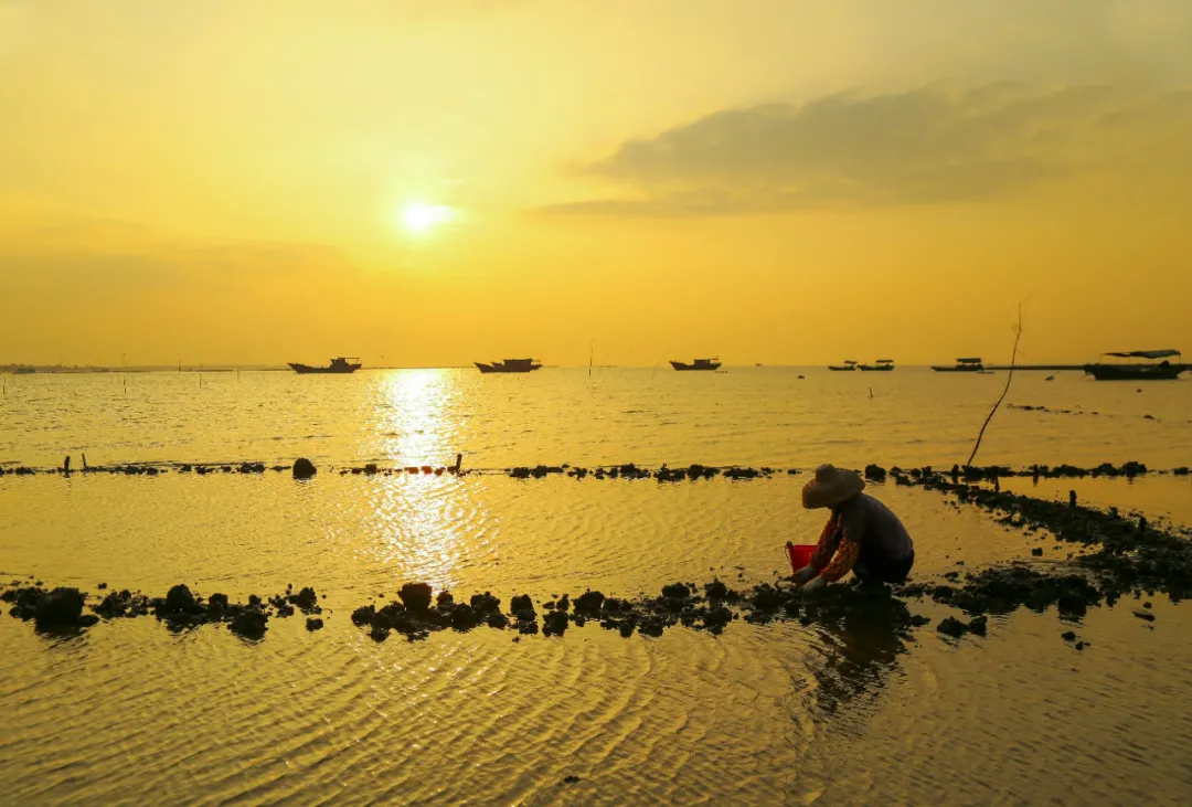 ��ģ�������ȥһ��տ��