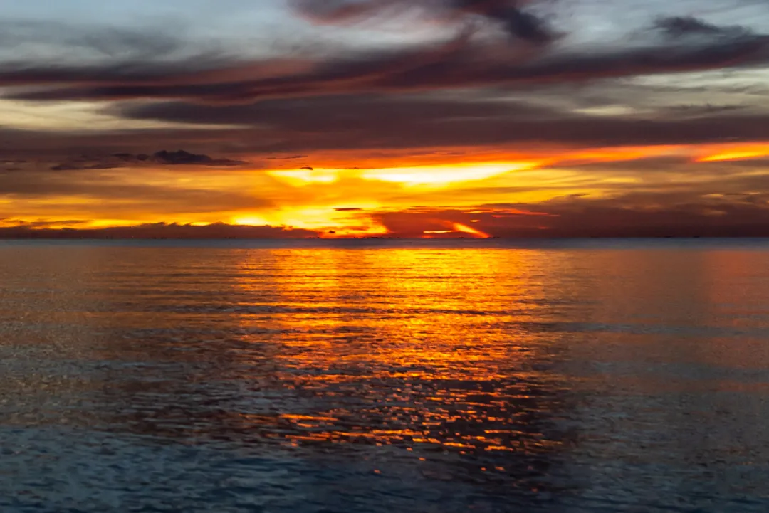 ��ģ�������ȥһ��տ��