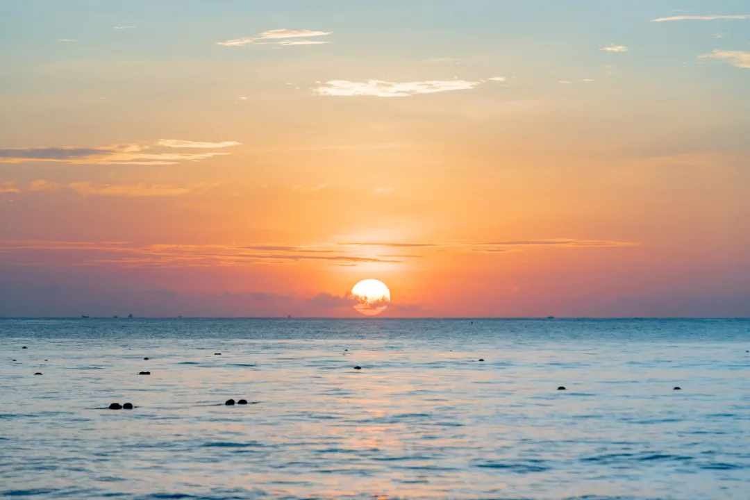 ��ģ�������ȥһ��տ��