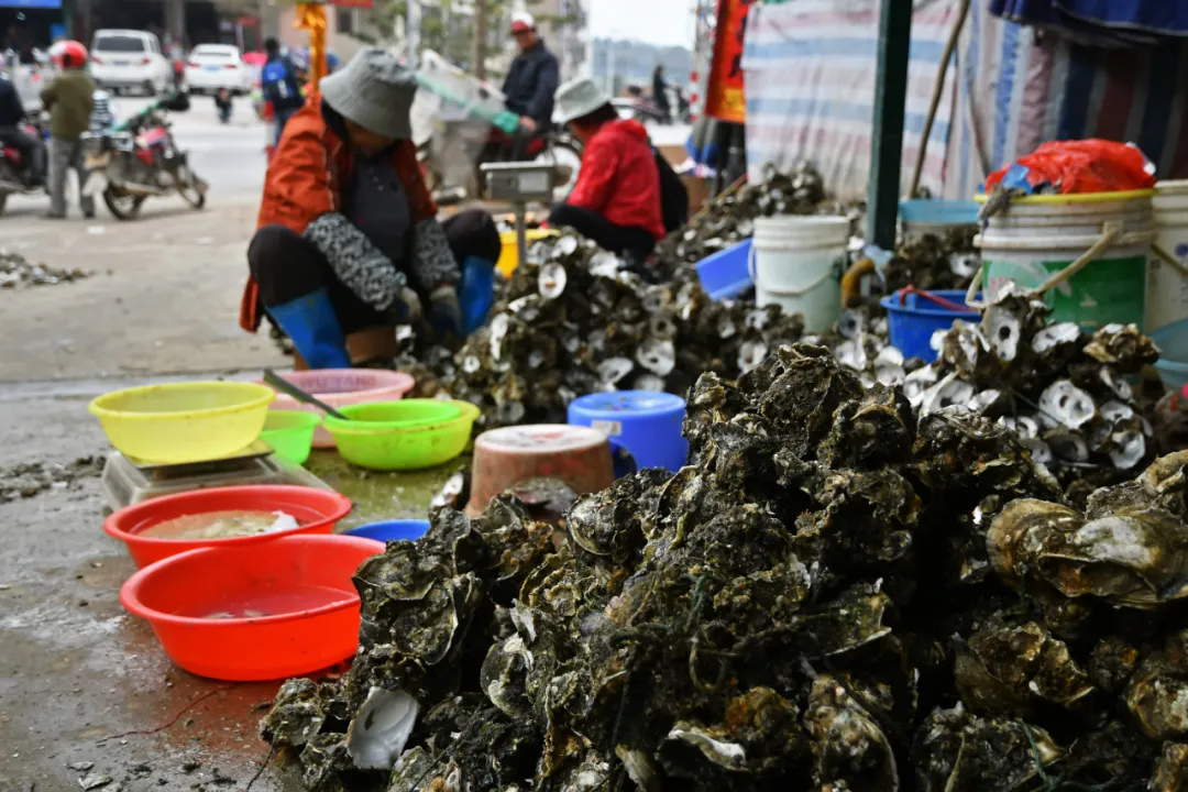 ��ģ�������ȥһ��տ��