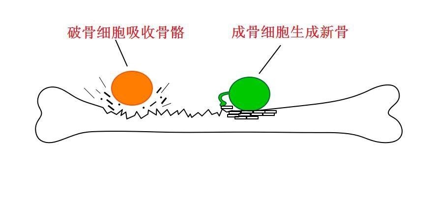 ˫˫ϥǣֻ10ġϰߡǴˣ