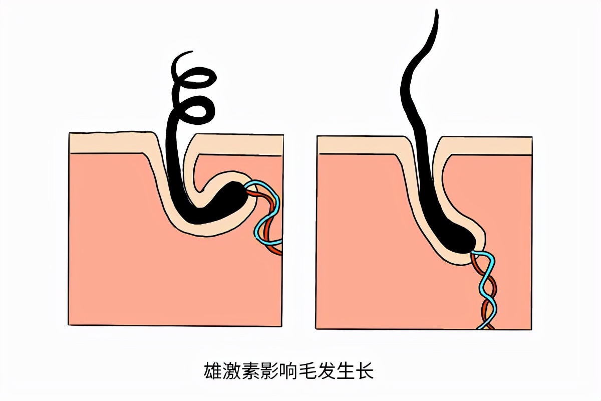 ԹκƵʸߣ˵ʲôкιϵÿѧ