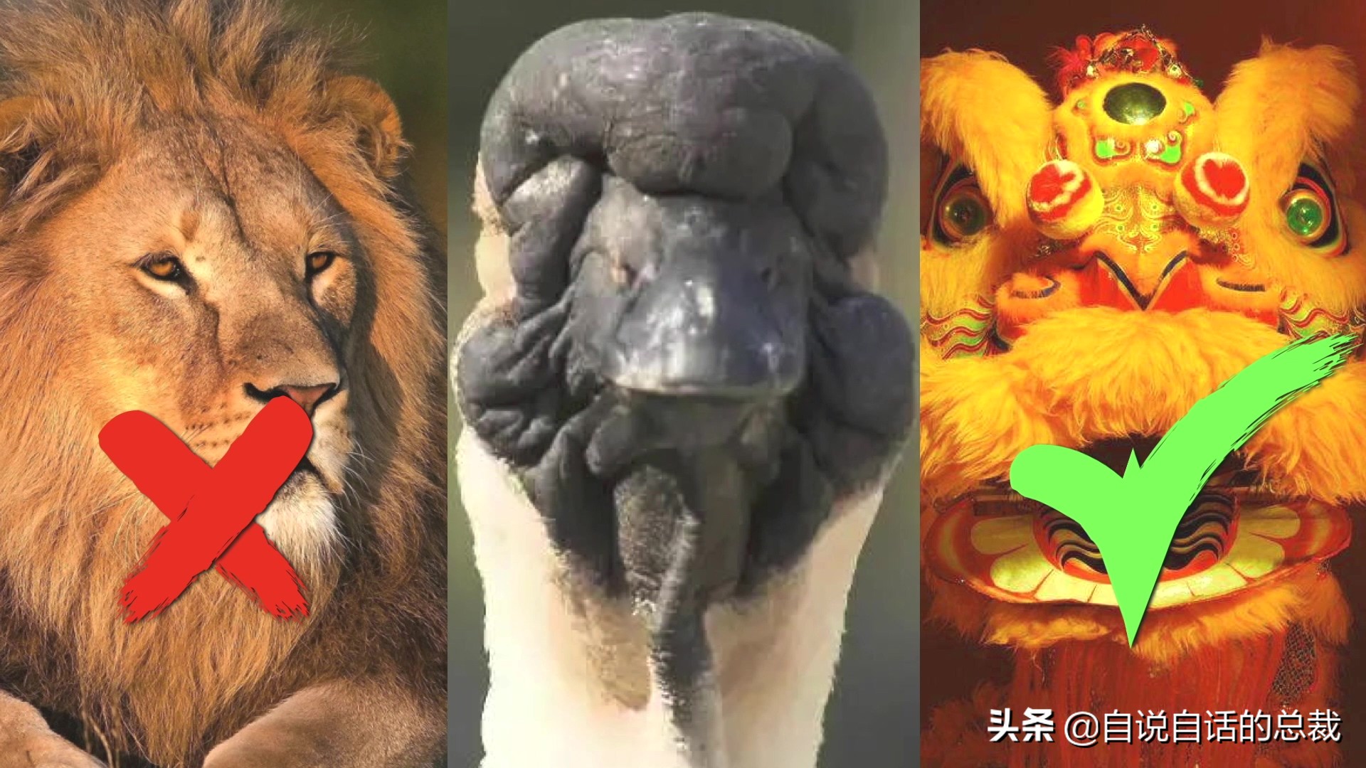 Ϊʲôﶼ¶죿жĵطûߣʵò