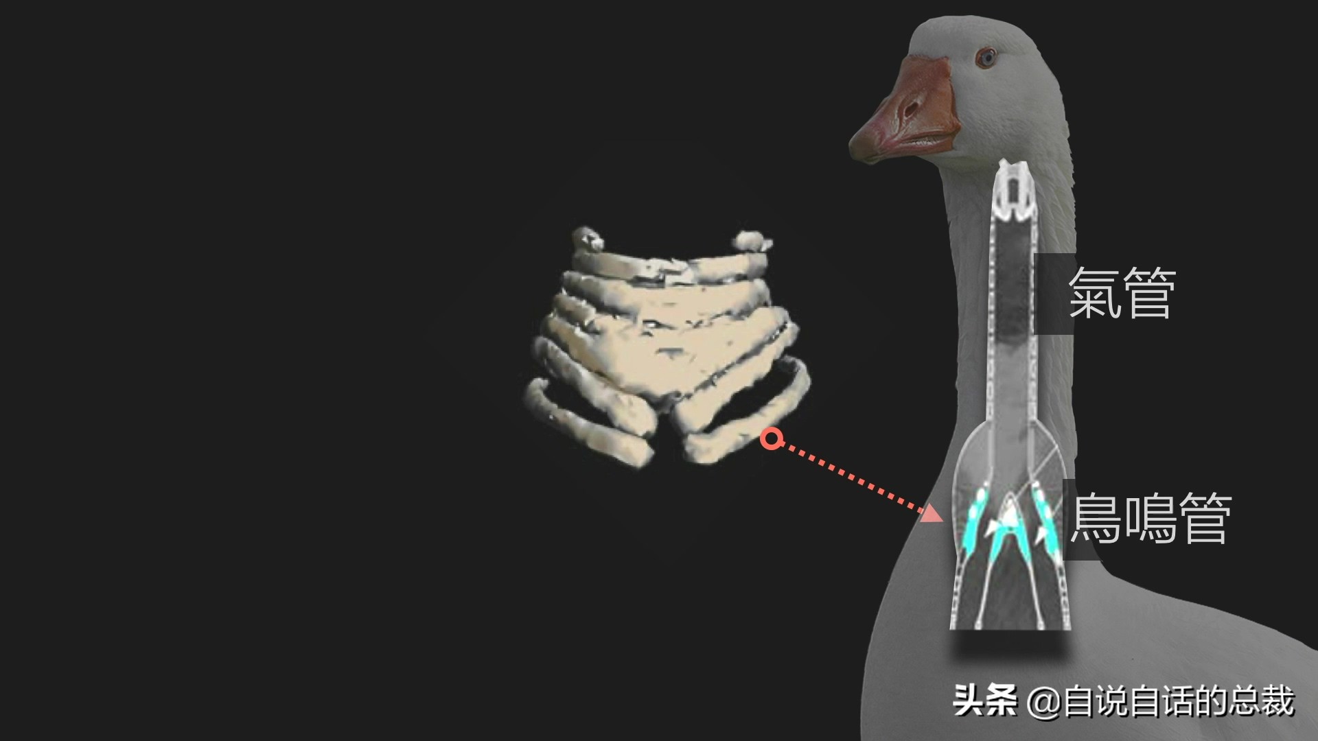 Ϊʲôﶼ¶죿жĵطûߣʵò