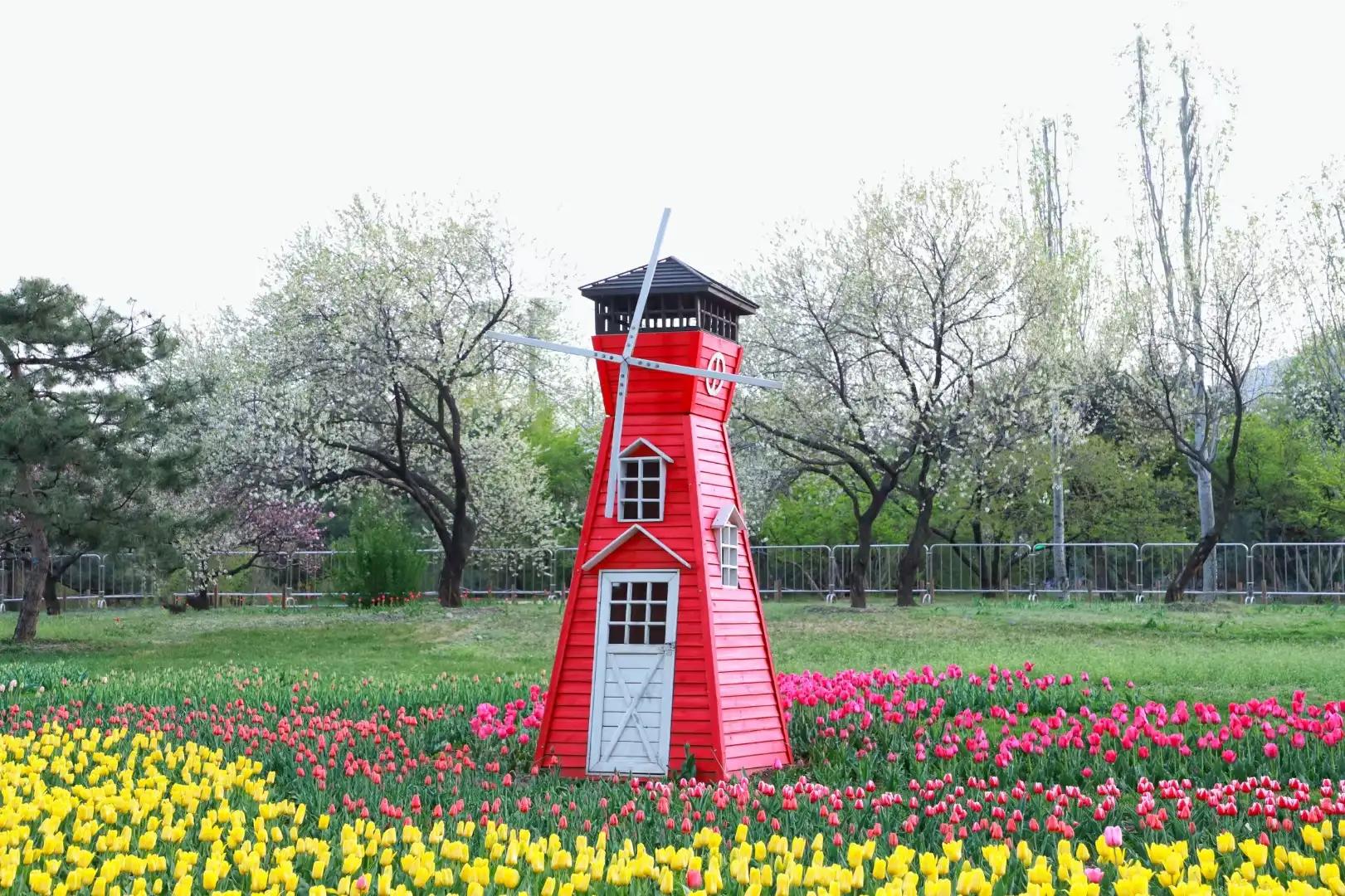 ���Ǵ�ɫ������