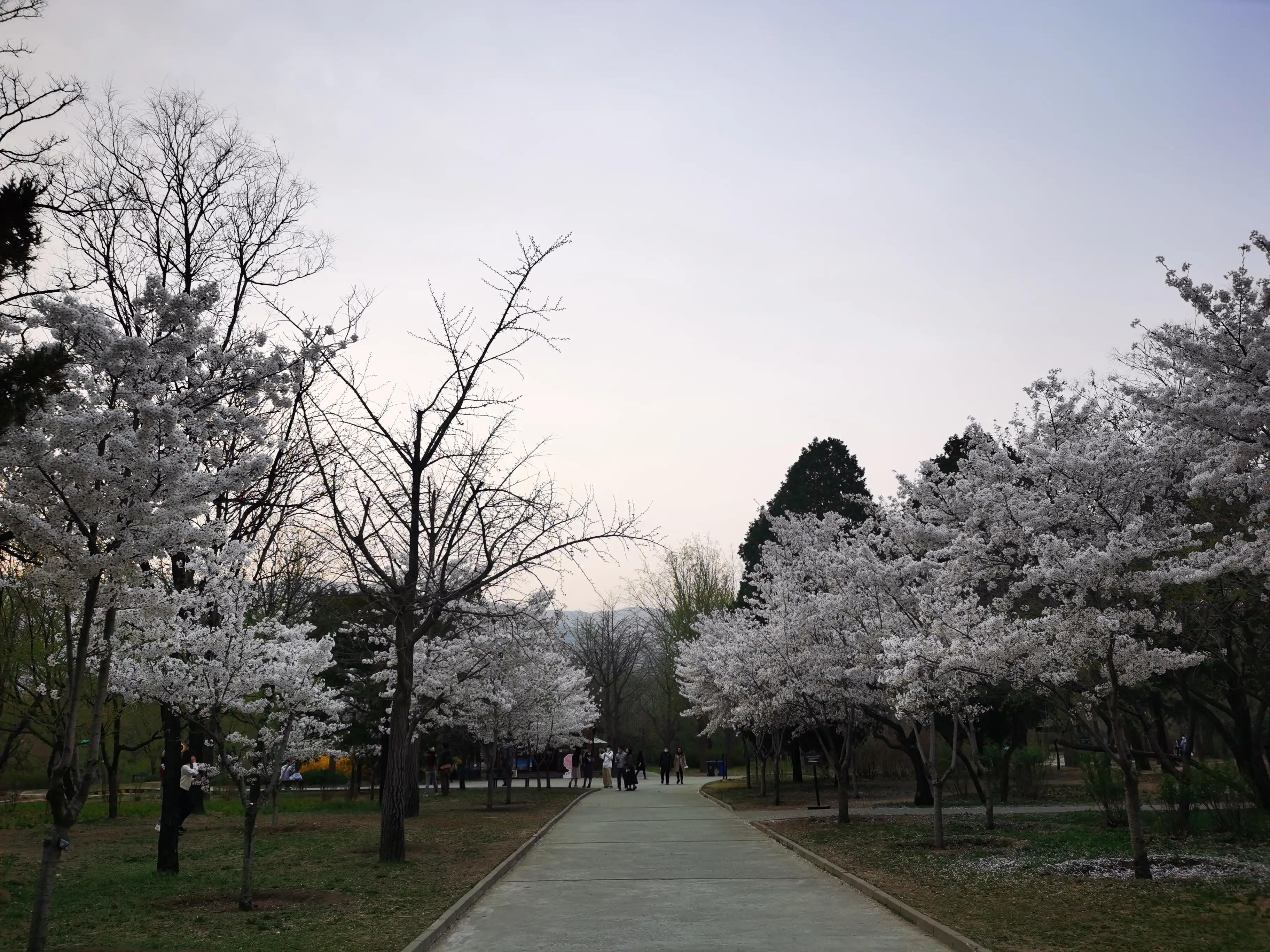 ���Ǵ�ɫ������