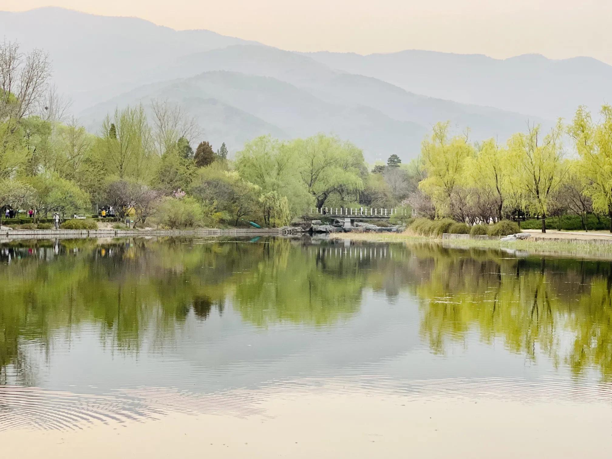 ���Ǵ�ɫ������