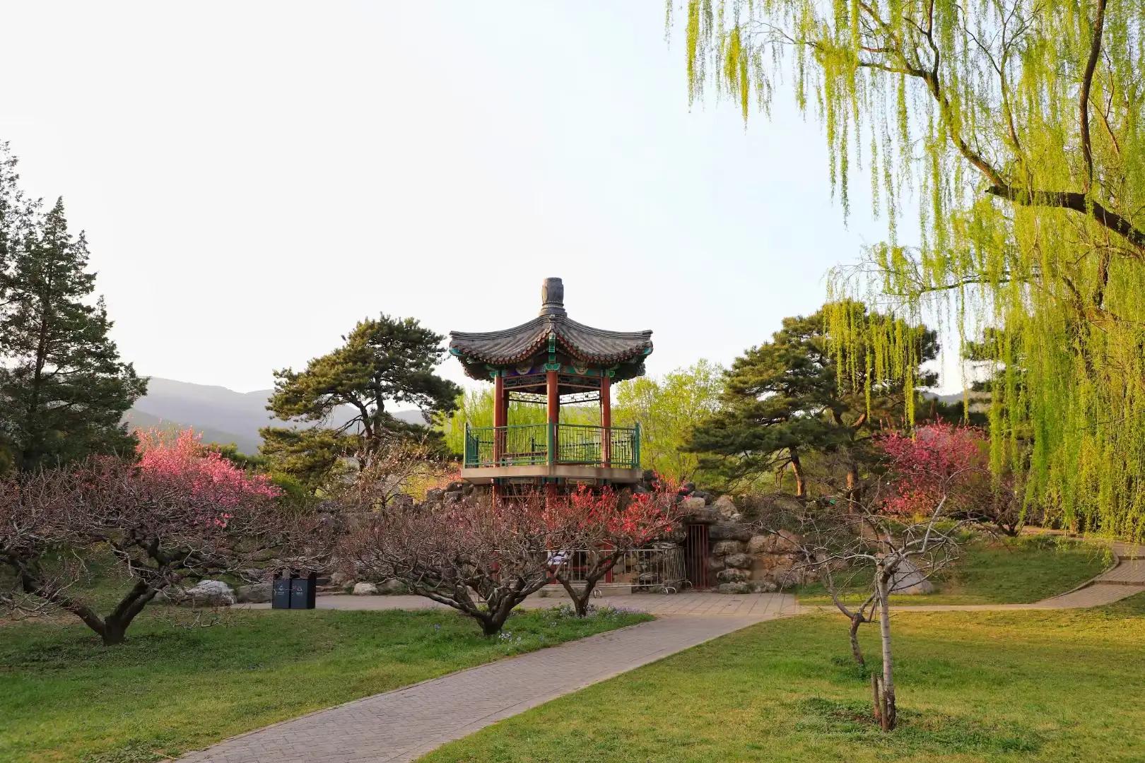 ���Ǵ�ɫ������