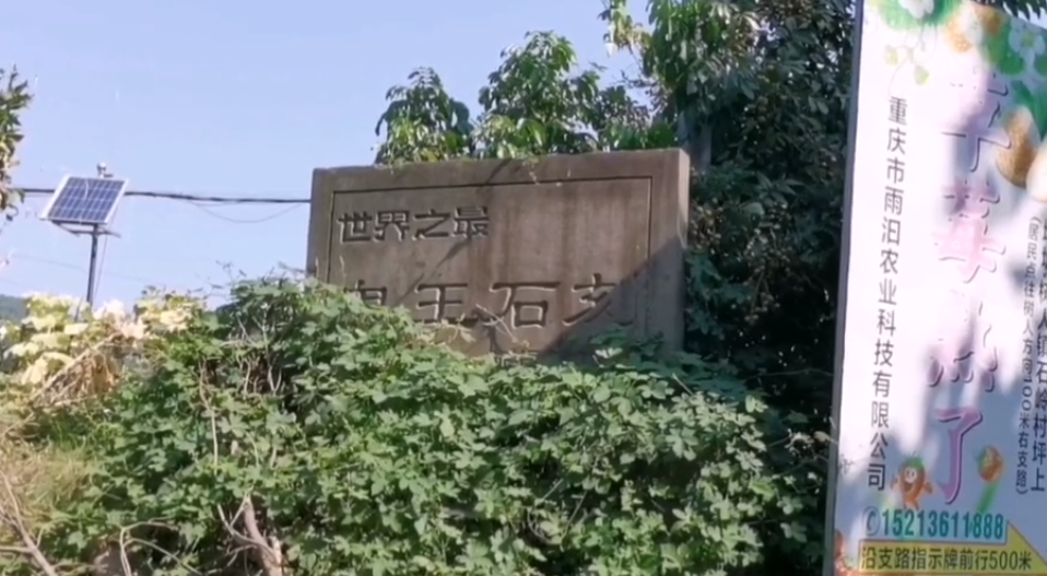 �ᶼ������켪��˹��¼���������Ħ��ʯ�̣���Ʊ10�飬�ο�ϡ��