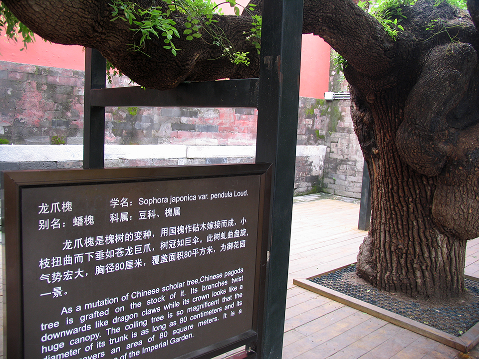 ���ڿ���һ�˵��Ͻ�������԰����һ�������ĸ��ܣ�