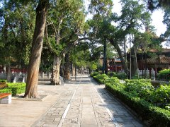 ���ڿ���һ�˵��Ͻ�������԰����һ�������ĸ���