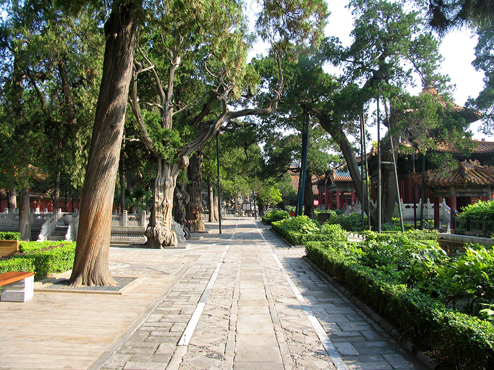 ���ڿ���һ�˵��Ͻ�������԰����һ�������ĸ��ܣ�