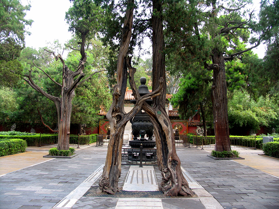 ���ڿ���һ�˵��Ͻ�������԰����һ�������ĸ��ܣ�