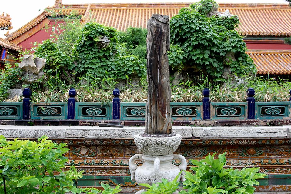 ���ڿ���һ�˵��Ͻ�������԰����һ�������ĸ��ܣ�