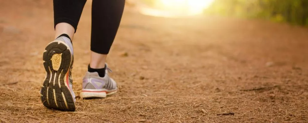 �ǿƴ����أ�ÿ����·�����������ʵĹ�ϵ