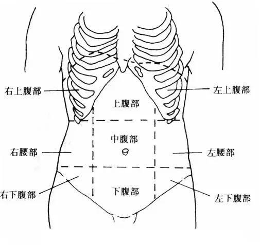 腹痛位置图片图片